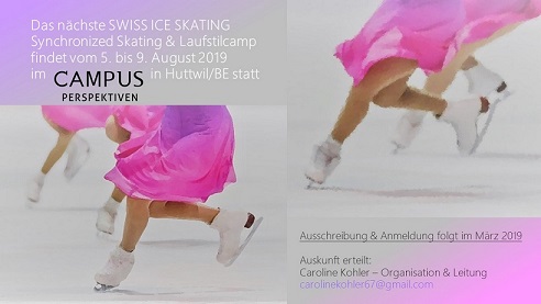 Publikation SYS und Laufstilcamp 2019